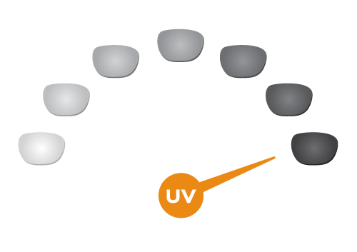 Digital Progressive Lenses